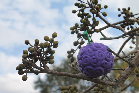 Cosmic Fruit | Hollow Container